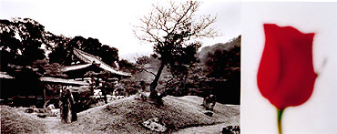 click image to enlarge